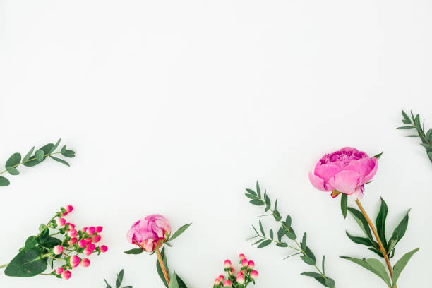 istock Floral composition with pink flowers and eucalyptus on white background. Flat lay, top view 1168978363