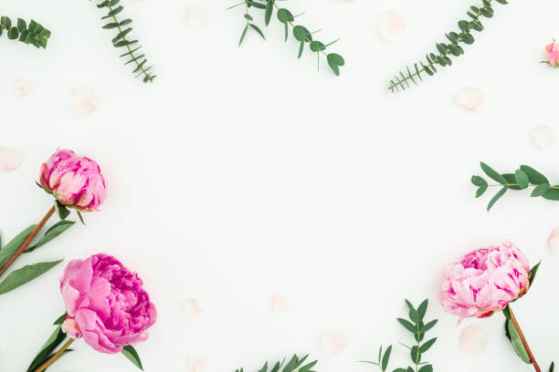 istock Floral composition with pink flowers and eucalyptus on white background. Flat lay, top view 1168978368