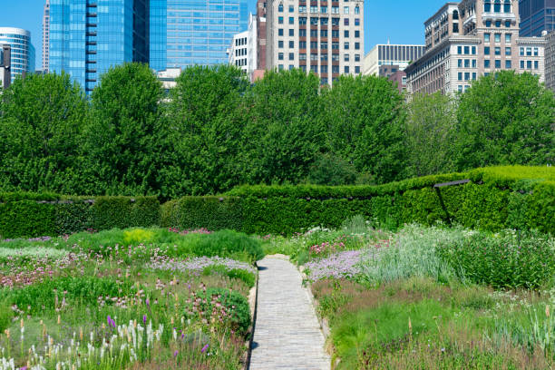 istock Path with Native Plants at a Downtown Chicago Park with Buildings during Summer 1168978375