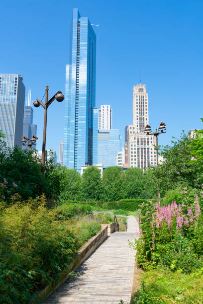 istock Path with Native Plants at a Downtown Chicago Park with Buildings during Summer 1168978456