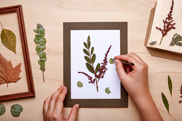 Woman making decoration with dried pressed flowers Woman making decoration with pressed flowers and leaves. Framing dried plants. Top view. craft product photos stock pictures, royalty-free photos & images