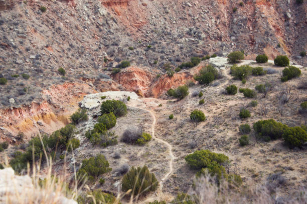 istock Walking path in Palo Duro canyon , Texas ,USA 1168985288
