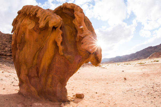 istock Mountains and rock formations in the sinai desert 1168985390