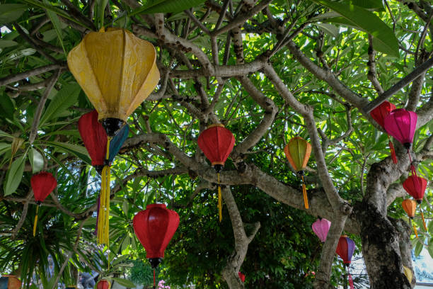 istock Hoi An, Vietnam. 1168987636