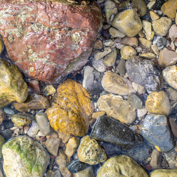 istock Wet stones in clear water at beach 1168988899