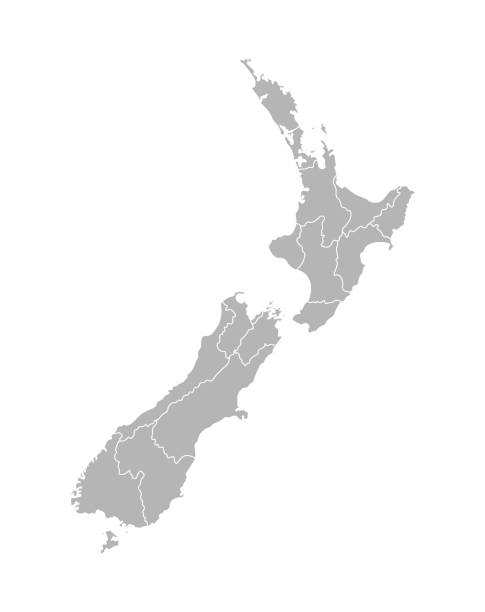 Vector isolated illustration of simplified administrative map of New Zealand. Borders of the regions. Grey silhouettes. White outline Vector isolated illustration of simplified administrative map of New Zealand. Borders of the regions. Grey silhouettes. White outline. flat country stock illustrations