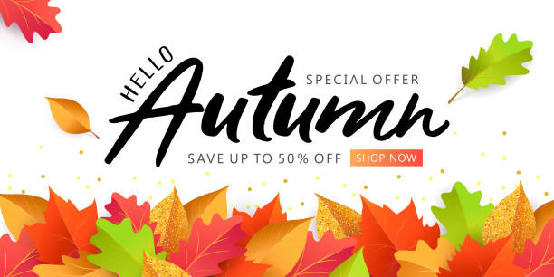 Hello Autumn Sale background, banner, poster or flyer design. Vector illustration with bright beautiful leaves border and lettering word Autumn Hello Autumn Sale background, banner, poster or flyer design. Vector illustration with bright beautiful leaves border and lettering word Autumn. Template for advertising, web, social and fashion ads. blank coupon backgrounds stock illustrations