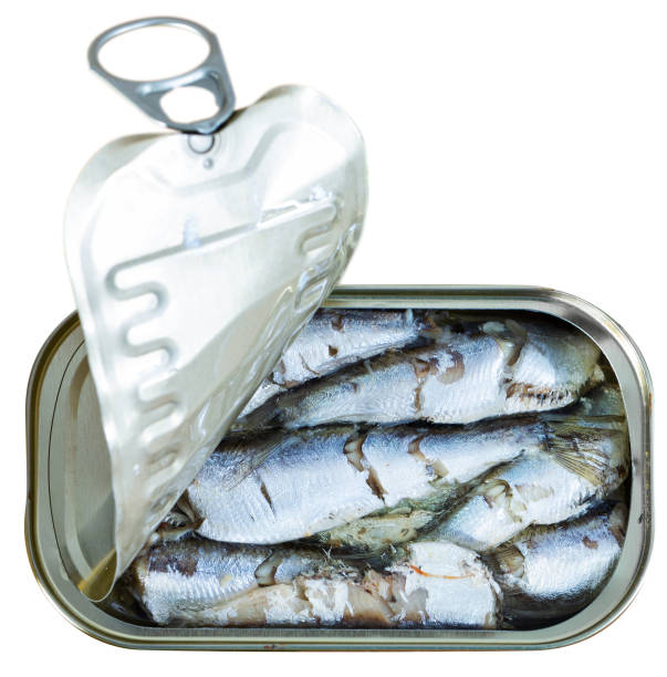 istock Open can of sardines in oil 1168991284