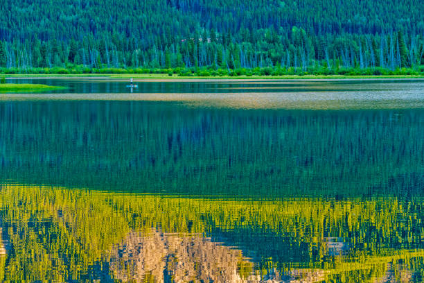 istock Banff National Park in Alberta Canada 1168991575