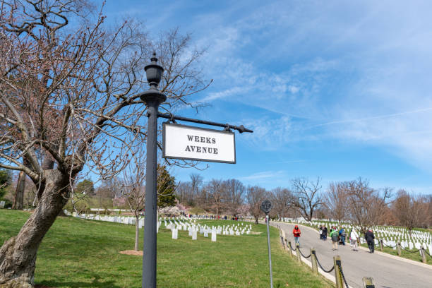 Arlington National Cemetary during national cherry blossom festival in USA Arlington National Cemetery gravesite honoring the fallen in wars fought by Americans. arlington cemetery in spring stock pictures, royalty-free photos & images