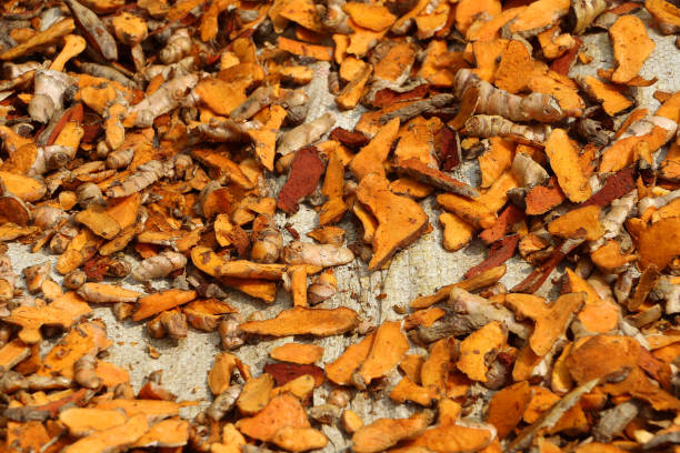 istock Freshly cured and dried turmeric in Nepal 1168992950