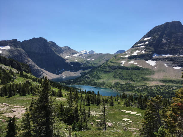istock Hidden Lake West Glacier National Park 1168993080
