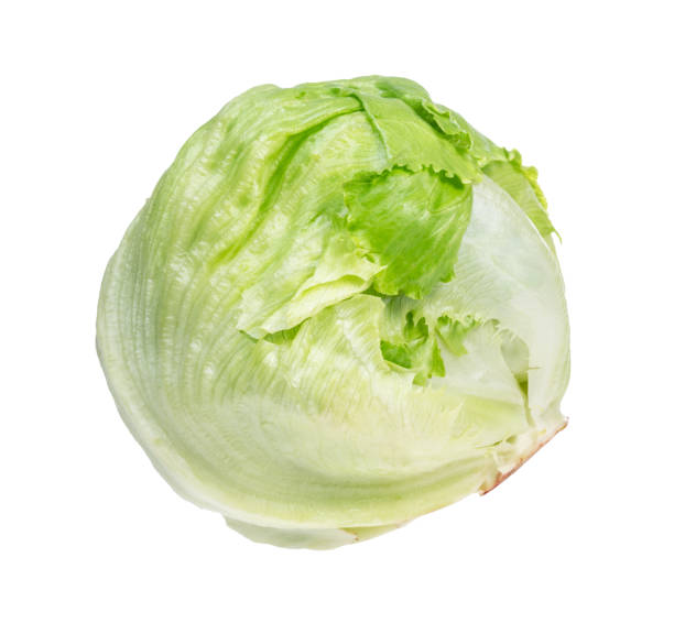 iceberg lettuce, head lettuce cutout on white iceberg lettuce, head lettuce cutout on white background green leaf lettuce stock pictures, royalty-free photos & images