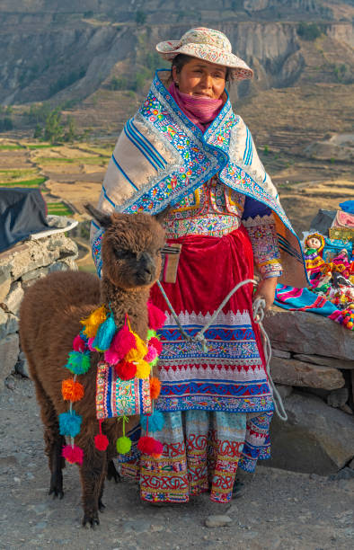 An indigenous woman with baby alpaca in traditional clothing next to her handicraft stall and in front of the Colca Canyon near the city of Arequipa, Peru.