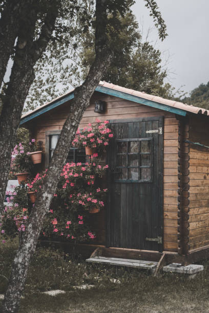 istock Little country house 1168995753