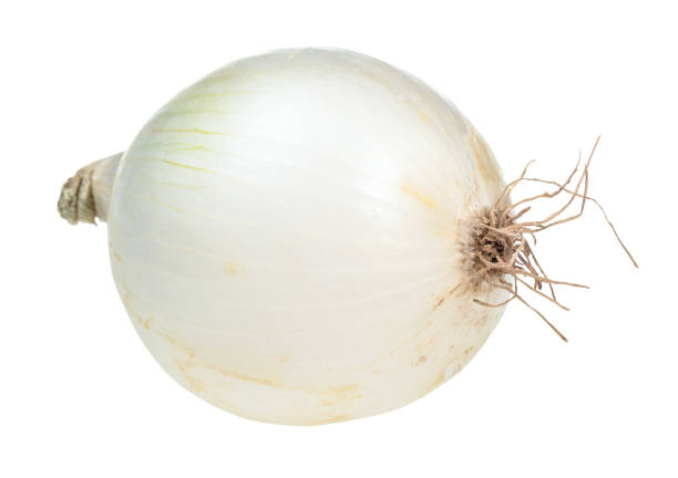 istock bulb of fresh white onion cutout on white 1168998866