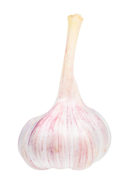 istock bulb of fresh garlic cutout on white 1168998867