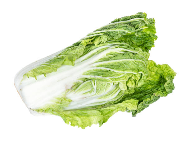 istock fresh green Napa cabbage cutout on white 1168999415