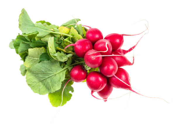 istock bundle of fresh red radish with greens cutout 1168999444
