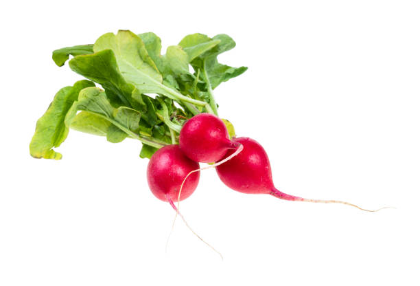 istock three fresh organic red radish with greens cutout 1168999461