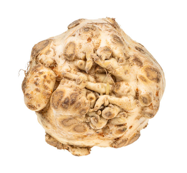 istock fresh organic celeriac (celery root) cutout 1168999480
