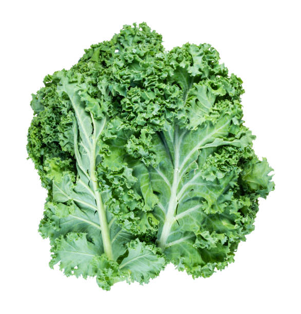 istock fresh leaves of curly-leaf kale (leaf cabbage) 1168999575