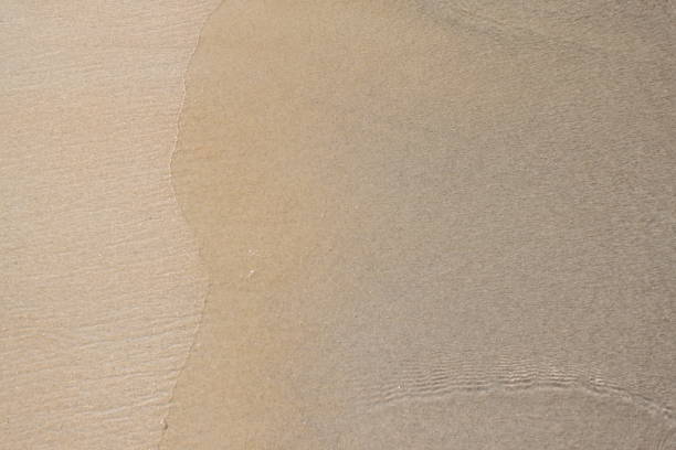 istock Environment of tropical country 1169001379