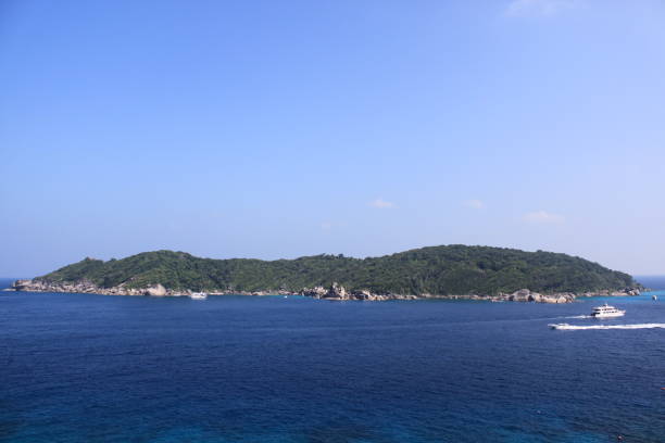 istock Environment of tropical country 1169001563