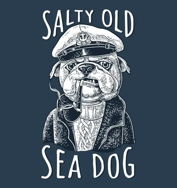 Vector illustration of Sea dog smoking pipe and dressed in captain hat. Engraving