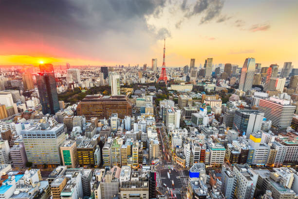 istock Tokyo, Japan Famous Skyline 1169004960