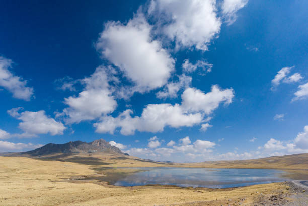 istock Blue sky in the Highlands of Peru 1169007272