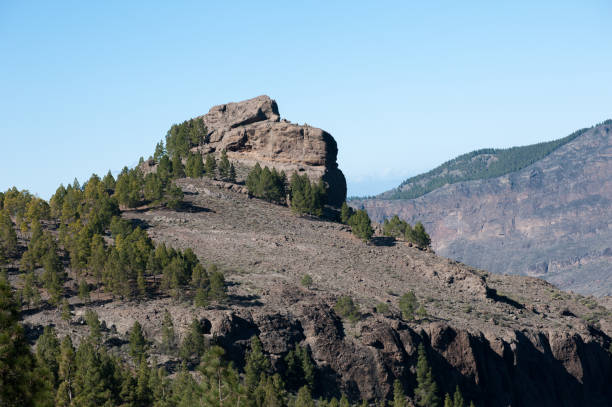 istock Rock of Head Lion 1169007332