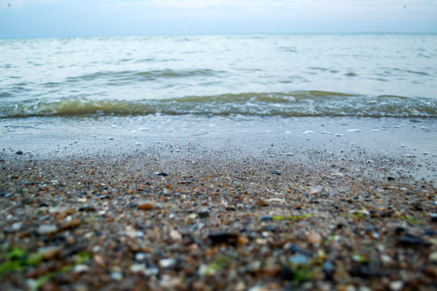 istock A water of sea close up. 1169009656