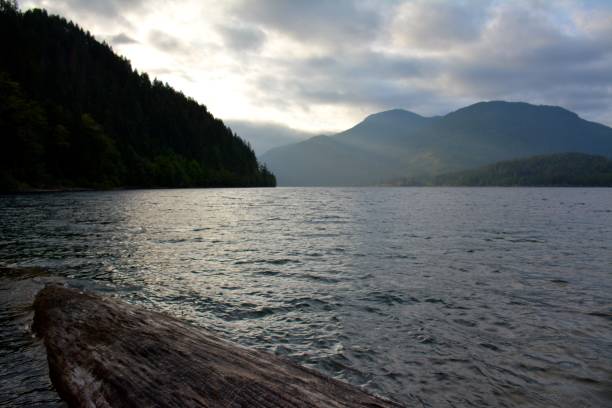 istock LAKE COWICHAN 1169010825