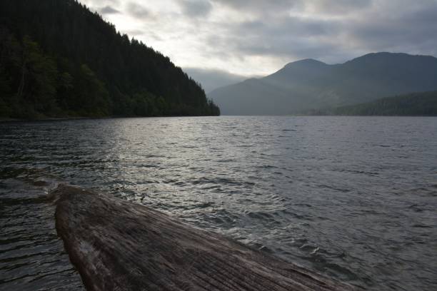 istock LAKE COWICHAN 1169010826