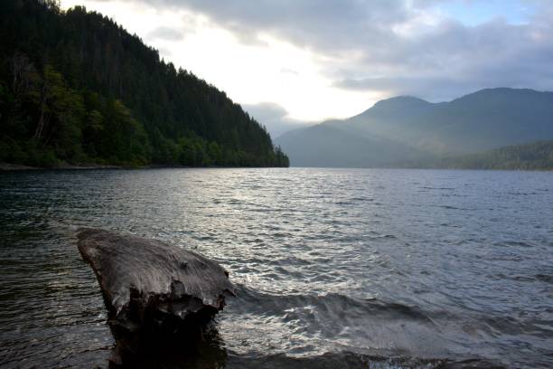 istock LAKE COWICHAN 1169010869