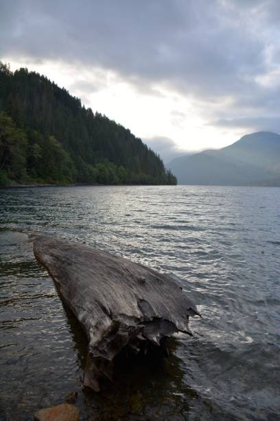 istock LAKE COWICHAN 1169010870
