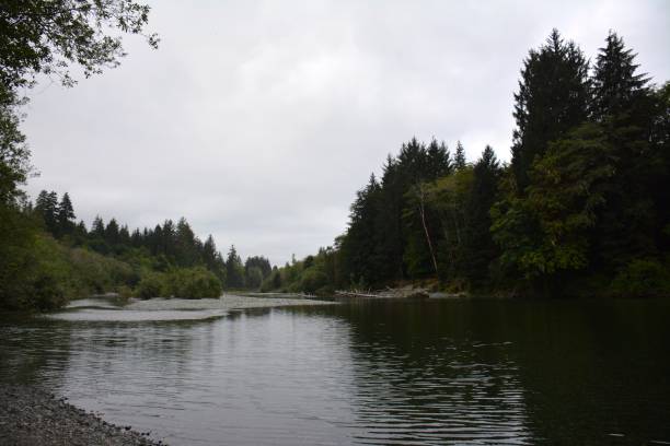 istock LAKE COWICHAN 1169010946