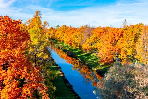 parco di caterina in autunno, tsarskoe selo (pushkin), san pietroburgo, russia - catherine park foto e immagini stock