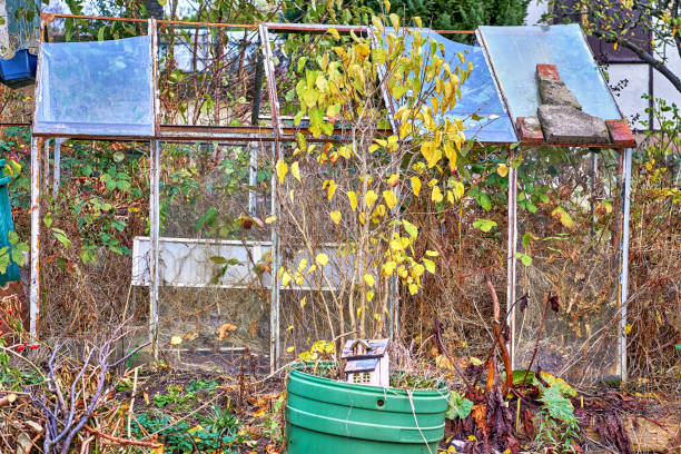 Old broken greenhouse with broken glass.
