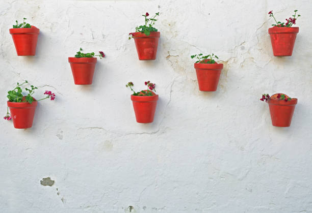istock flowers on the wall 1169013051