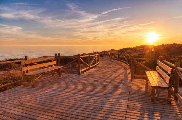 istock Weathered lumber path leading to calm sea during beautiful sunset 1169013053