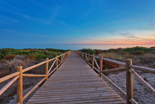istock Weathered lumber path leading to calm sea during beautiful sunset 1169013072