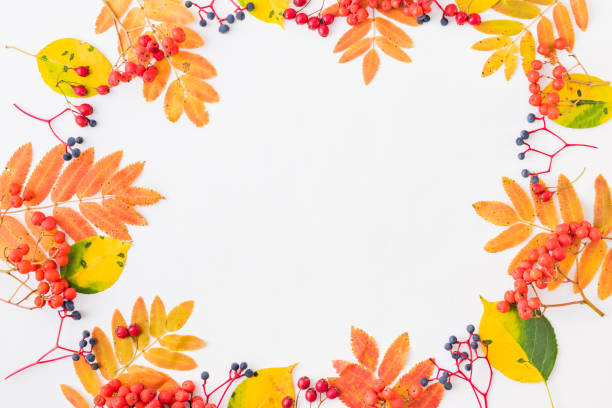 istock Flat lay frame with colorful autumn leaves and berries on a white background 1169013131