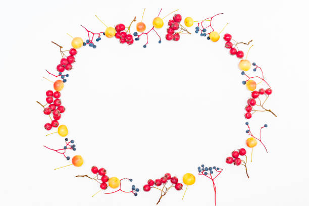 Flat lay frame with colorful autumn berries and apples on a white background