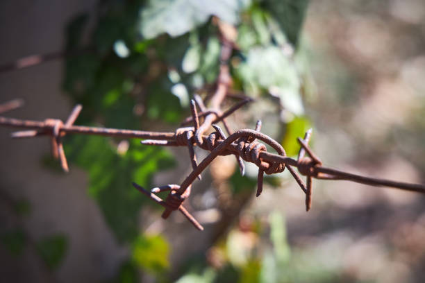 istock Barbed wire tied to a pole, close-up 1169016398