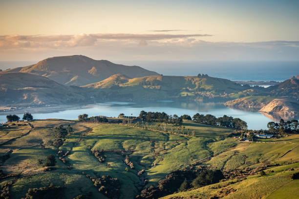 Otago Peninsula and rolling hills and farmland, Dunedin, New Zealand Otago Peninsula and rolling hills and farmland, Dunedin, New Zealand dunedin new zealand stock pictures, royalty-free photos & images