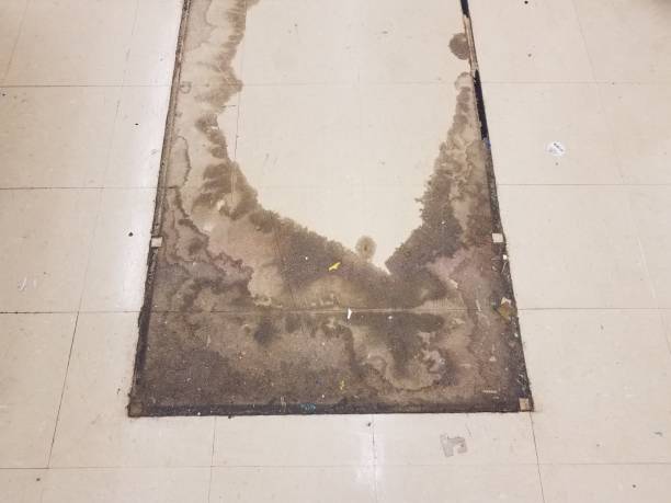 istock dirty white square floor tiles where a rack was moved in a store 1169022314