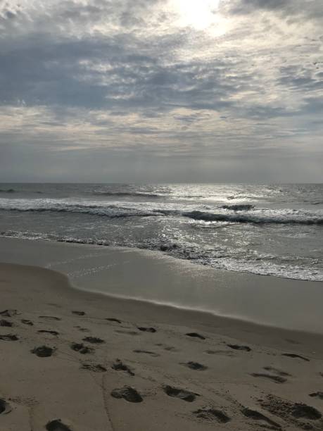istock Early Morning Along the Beach 1169024188