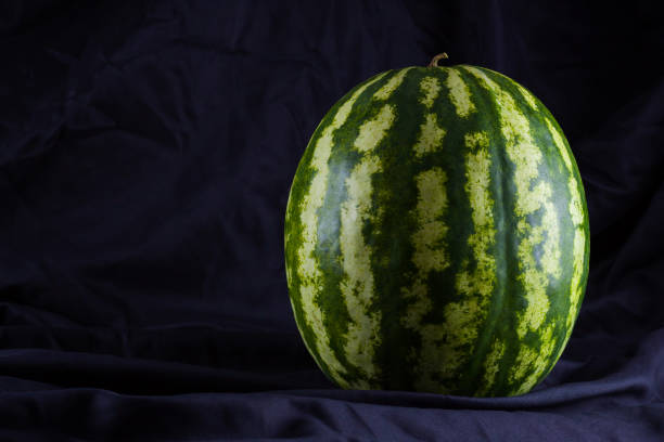 Watermelon on black cloth. Whole watermelon on dark background. Healthy food for vegan. Copy space